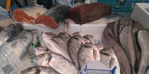 PESCADOS Y MARISCOS SORUCO