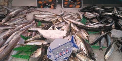 PESCADOS Y MARISCOS SORUCO