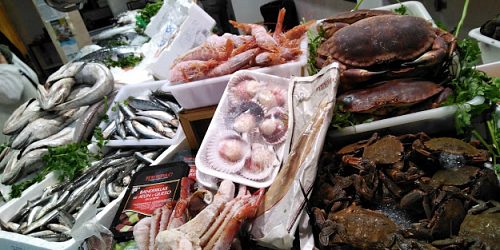 PESCADERÍA Y FRUTERÍA MALDONADO
