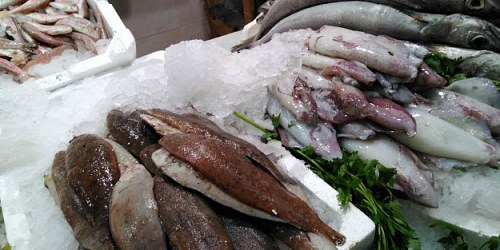 PESCADERÍA Y FRUTERÍA MALDONADO