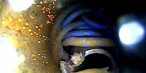 Aqua Eye
