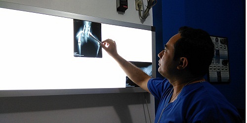 Hospital Veterinario K-ninos