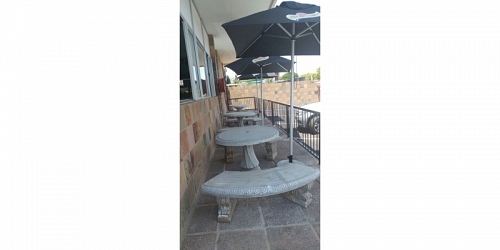 The Lemon Tree Sports Cafe
