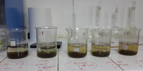 Ingeniería y Consultoría Ambiental