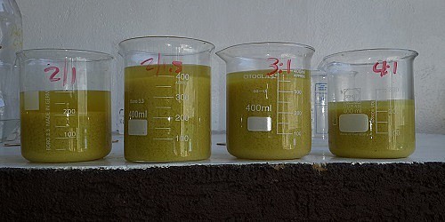 Ingeniería y Consultoría Ambiental