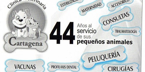 Clinica Veterinaria Cartagena