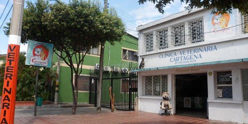 Clinica Veterinaria Cartagena