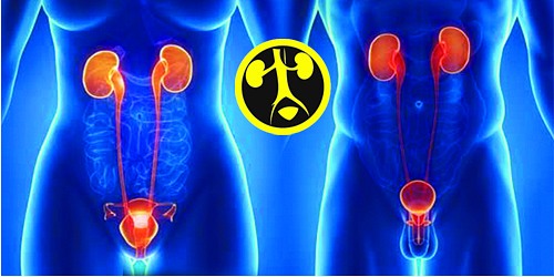 UROLOGIA Y PIEDRAS EN RIÑON CANCUN DR. ABRAHAM LOPEZ ZEPEDA