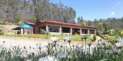 RESTAURANTE LA FRONTERA