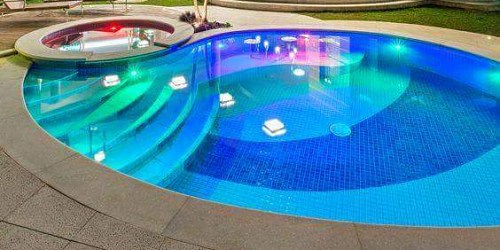 ALIGATOR - COPPER IONISER POOL WATER CLEANER