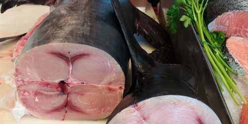 SCIACCAMAR PESCHERIA SCIACCA