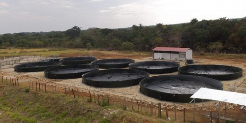 AQUACULTIVOS DE NARIÑO SAS