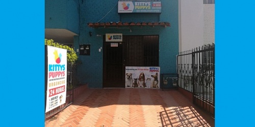 Centro Asistencial Veterinario Kittys And Puppys