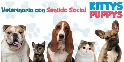 Centro Asistencial Veterinario Kittys And Puppys