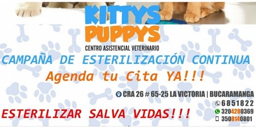 Centro Asistencial Veterinario Kittys And Puppys