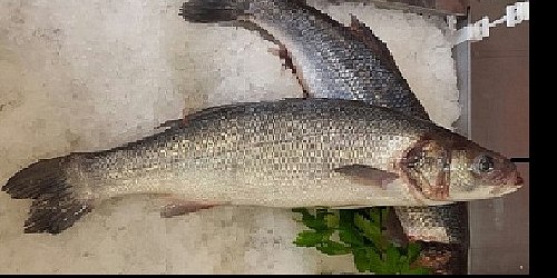 SCIACCAMAR PESCHERIA SCIACCA