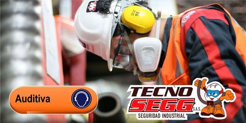 Tecnosegg sas Seguridad Industrial