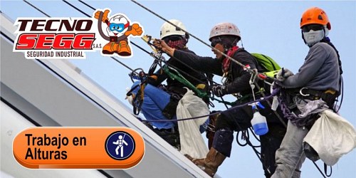 Tecnosegg sas Seguridad Industrial
