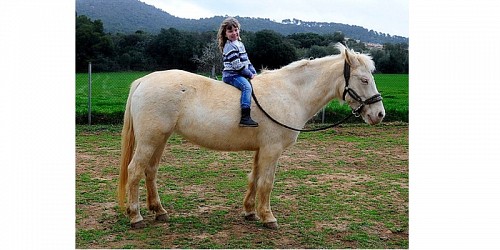FOTO GUILLEM