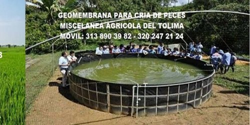 MISCELANEA AGRÍCOLA DEL TOLIMA Y TECNIAGROBOMBAS - IBAGUÉ 