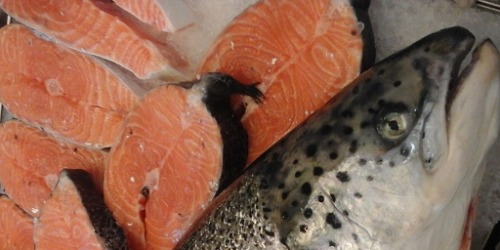 SCIACCAMAR PESCHERIA SCIACCA