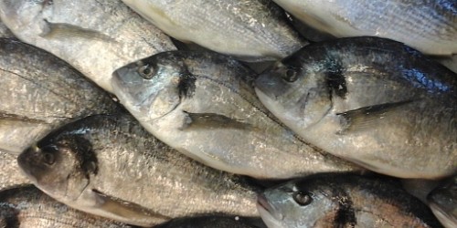 SCIACCAMAR PESCHERIA SCIACCA