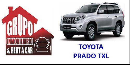 GRUPO INMOBILIARIO & RENT A CAR