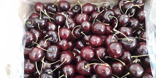 LA FRUTTA CHE HAI SEMPRE SOGNATO
