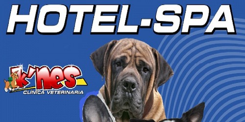K-nes Clinica Veterinaria
