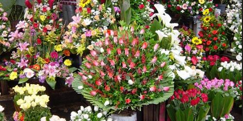 LA ESQUINA FLORAL  EN PIFO