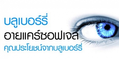 บีจีเอ็มซอฟเจลราคา2*** ส่งฟรีโทร0876529698 Line jkshop2558