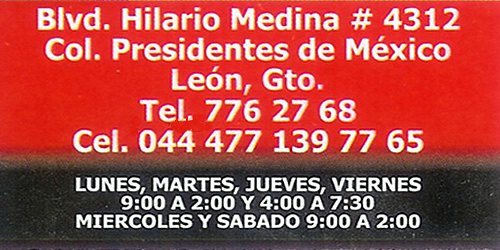 Servicio electrónico profesional en León SERPROF