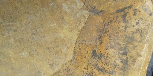 LADRILLERA MASGRES
