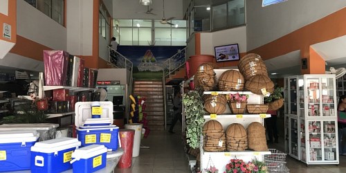 Agrocosur