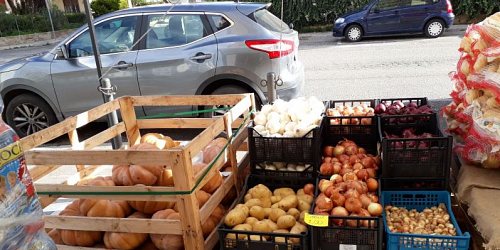 ORTOFRUTTA PRODOTTI TIPICI VINO NATURA PIU