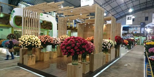PROCESA - Stands - Islas - Locales Comerciales