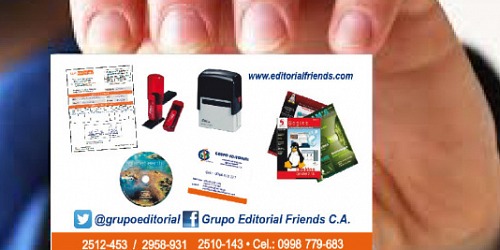GRUPO EDITORIAL Y WEB FRIENDS