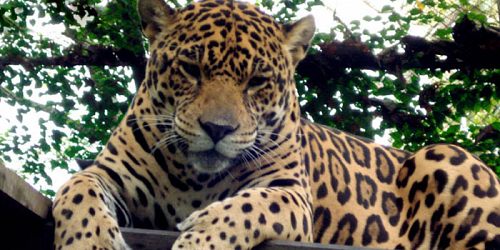 Viajes y Excursiones Yimmy Tours
