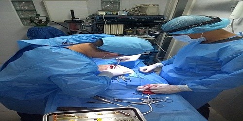 PET MARKET CLINICA VETERINARIA