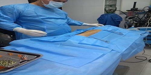 PET MARKET CLINICA VETERINARIA