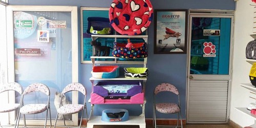 Veterinaria en Bucaramanga Petcenter