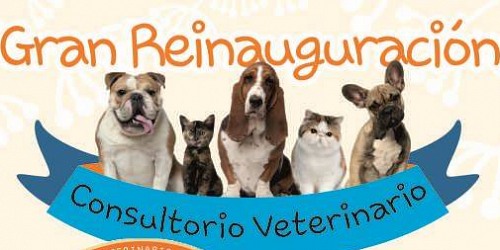 Veterinaria en Bucaramanga Petcenter