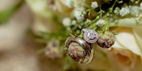 Ellen Strydom Photography