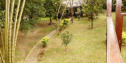 FINCA LOS GUADUALES sitio campestre y de descanso