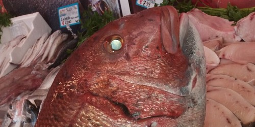 SCIACCAMAR PESCHERIA SCIACCA