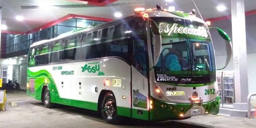 Tes de Occidente transporte escolar,empresarial y turístico
