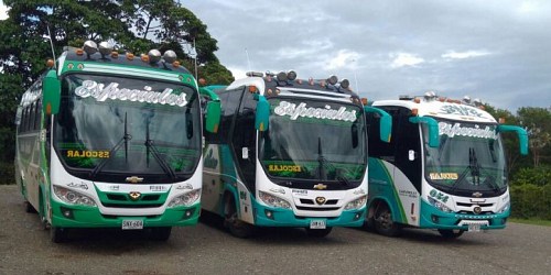 Tes de Occidente transporte escolar,empresarial y turístico