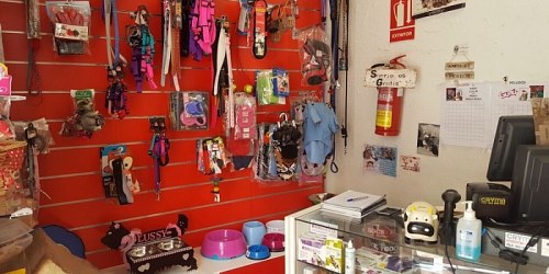 PELUDOS. PELUQUERÍA CANINA.