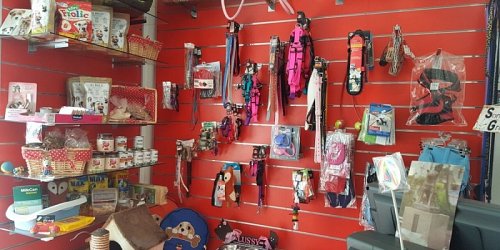 PELUDOS. PELUQUERÍA CANINA.