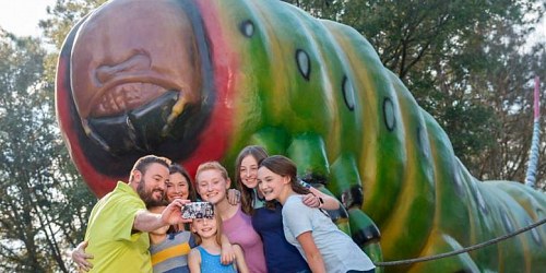 Wild Adventures Theme Park